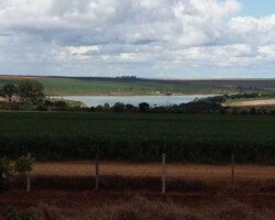 img 7 - Lago da represa sobre o Córrego da Vereda em frente ao KM 19 e sede da fazenda Sta. Barbara.