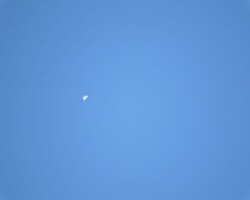 1 - IMAGEM OVNI - Registro feito a partir do Clube Água Mineral - Brasília - DF por Elizabeth Peral em 11/04/2021