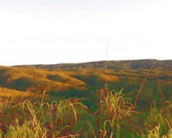 9-Vista a partir da Base1 de observação no KM19-BR251-DF